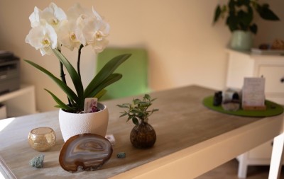 Bild der Kleinanzeige - Praxisraum in Dresden zu vermieten